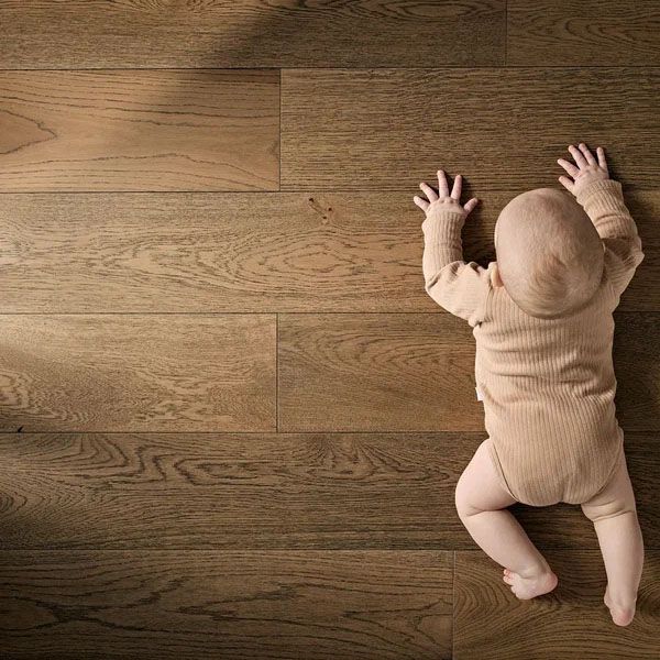 ���������� ����� ��� Edmonton 14�165�400-1800 011900001 � ���������