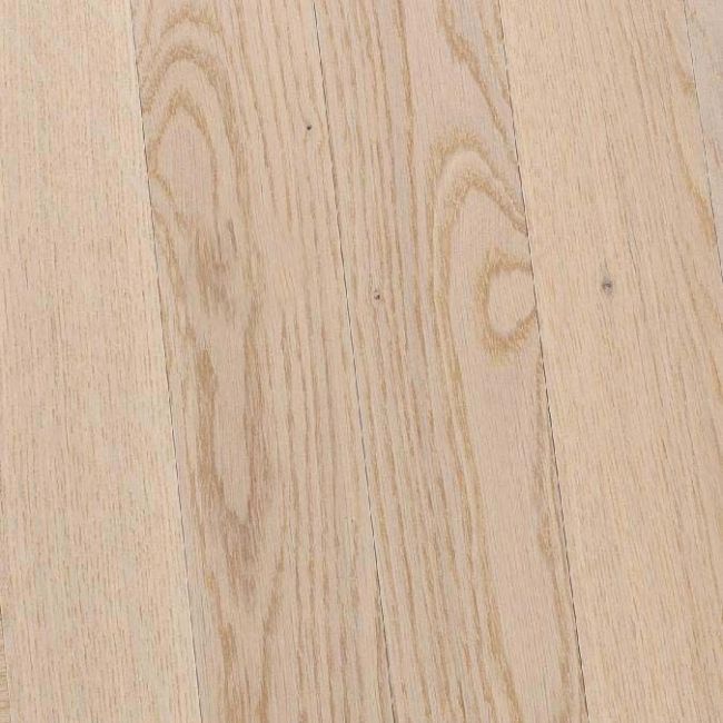 ������ ���� Prestige 10mm ��� ����� Nature EIP2326D � ���������