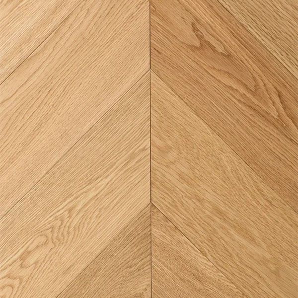 ���������� ���� ��� European Ottawa ��� 14�125�595 02190-0018