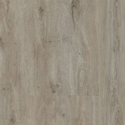   Progress Wood 225 Pine Grey (16-010-00061, 1601000061)